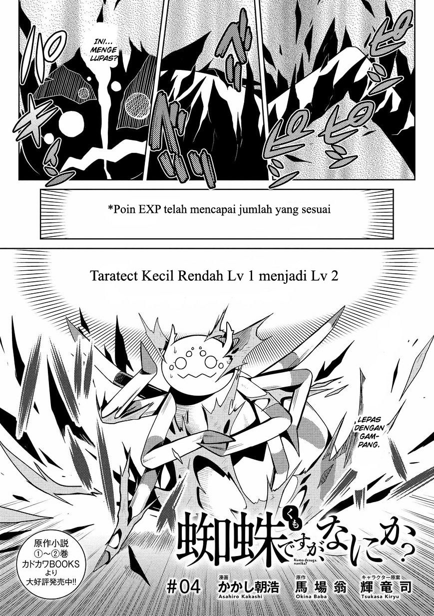 Kumo desu ga, Nani Ka?